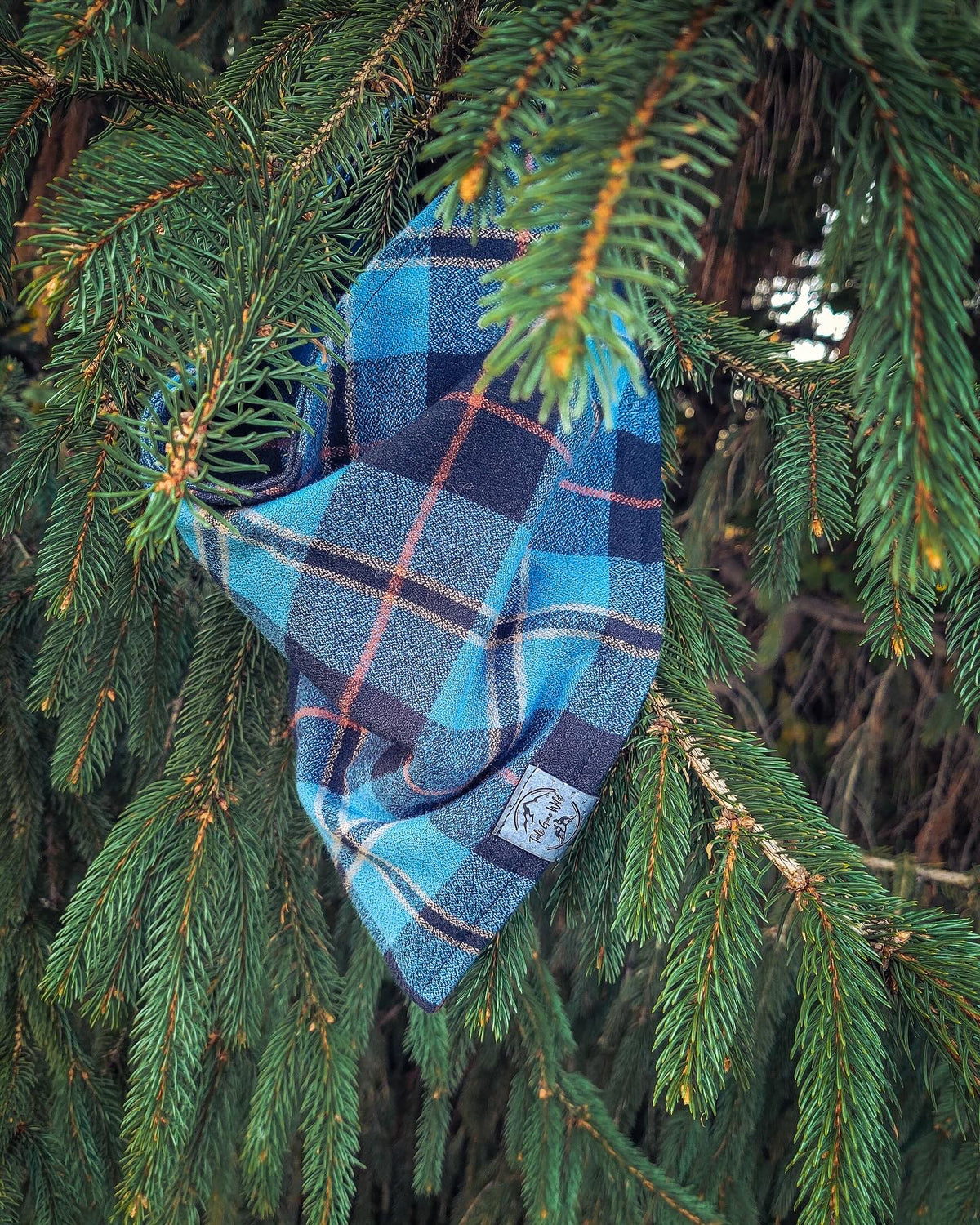 grandpa’s flannel