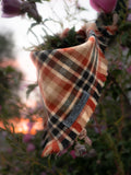 scarecrow