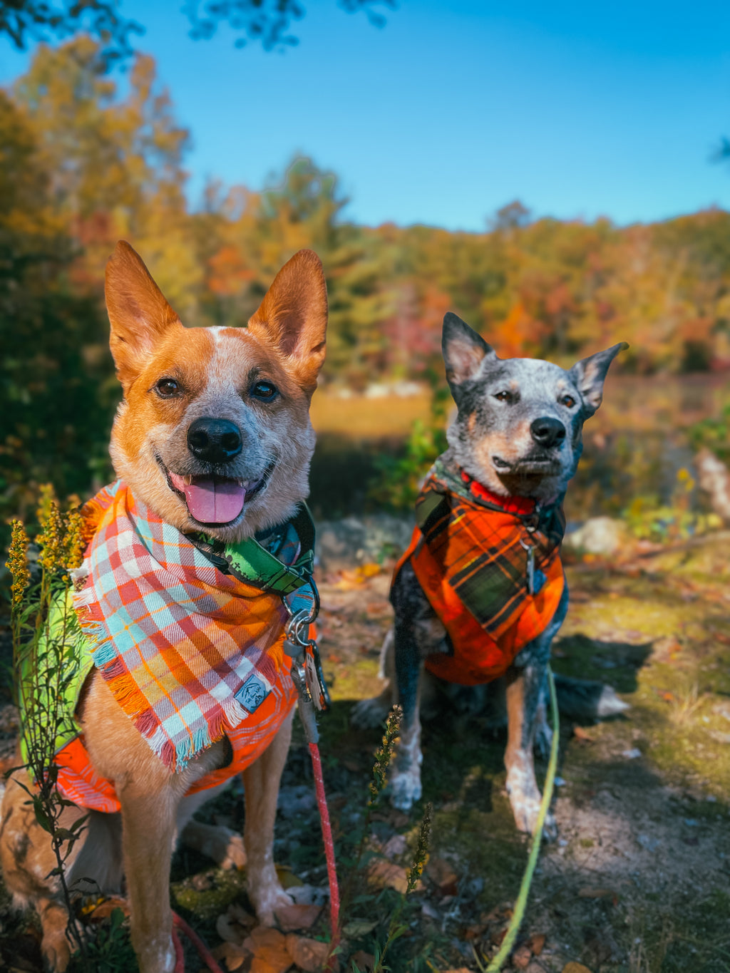 Fall plaid