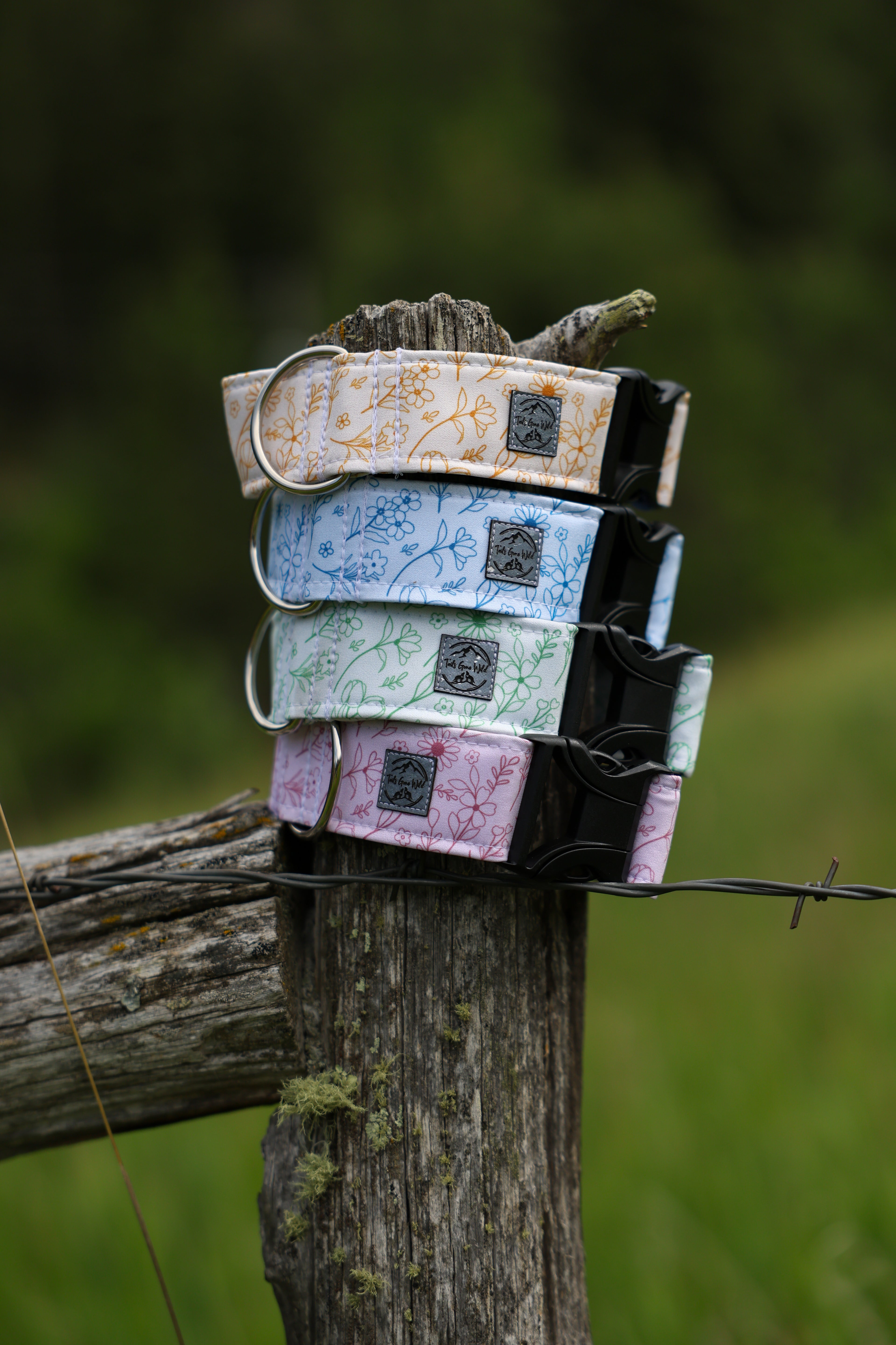 Collar